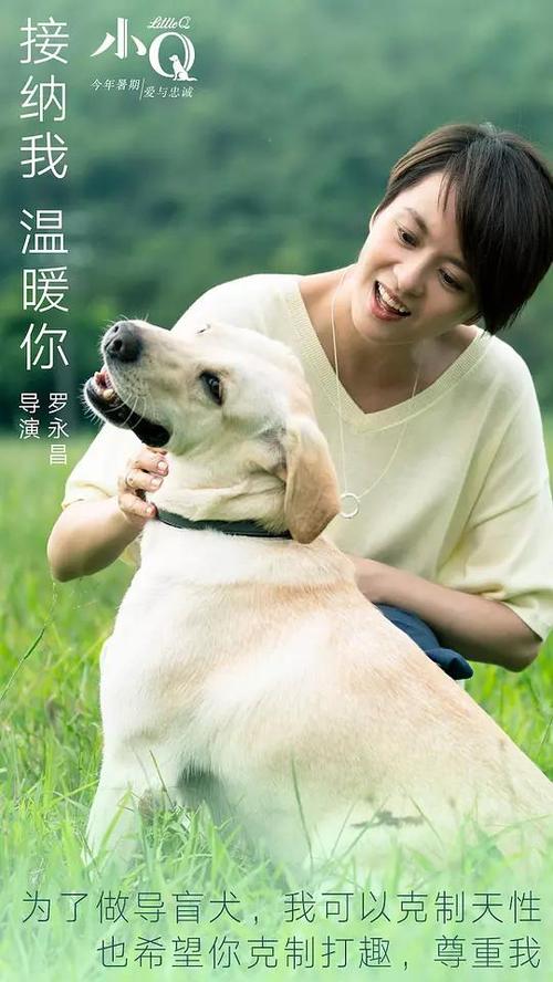 做个丹麦